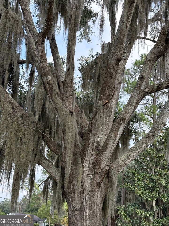 Property Photo:  601 Fort King George Drive  GA 31305 