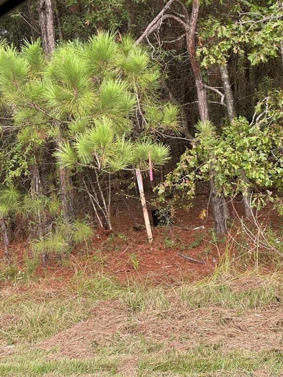 Property Photo:  0 Fm 1409  TX 77523 