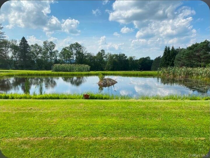 Property Photo:  191 Rose Road  NY 12788 