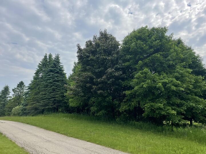 Property Photo:  Lt3 Ulao Pkwy  WI 53024 