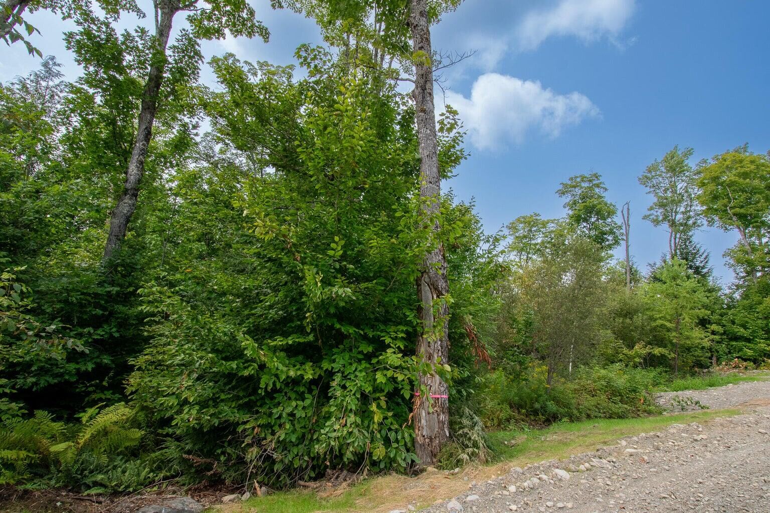 Property Photo:  Lot1 Bear Brook Subdivision  ME 04481 