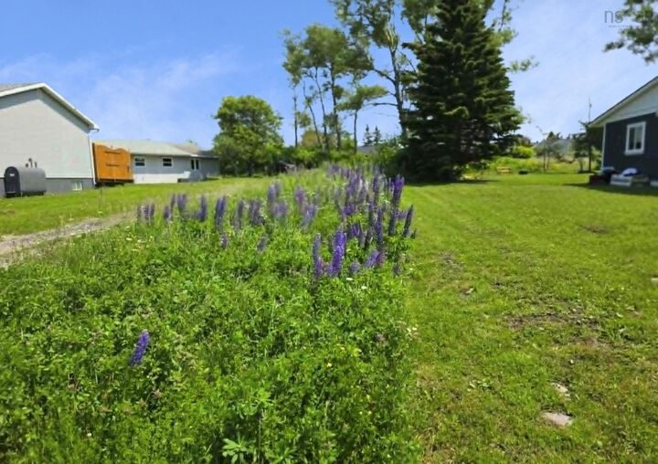 Property Photo:  49 School Street  NS B1A 1J3 