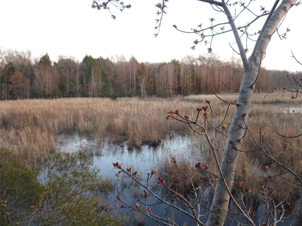 Property Photo:  Tbd 133 Ac +- Vz County Road 4701  TX 75754 