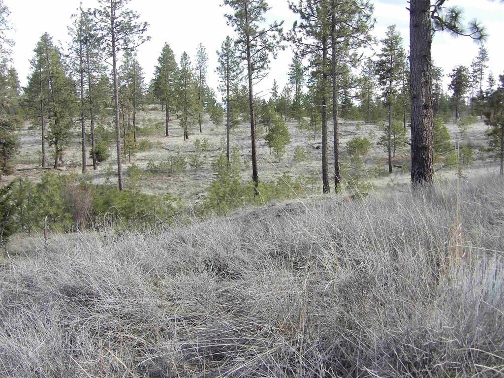 Property Photo:  Lot 2 Pine Hen Ln  WA 99122 