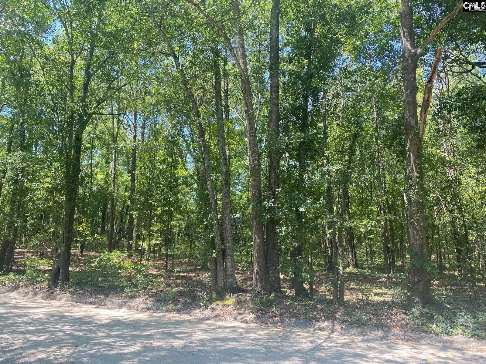 Property Photo: 0 Mathias SC 29169