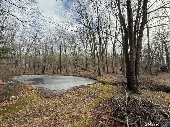 Property Photo:  114 Scotland Road  CT 06330 