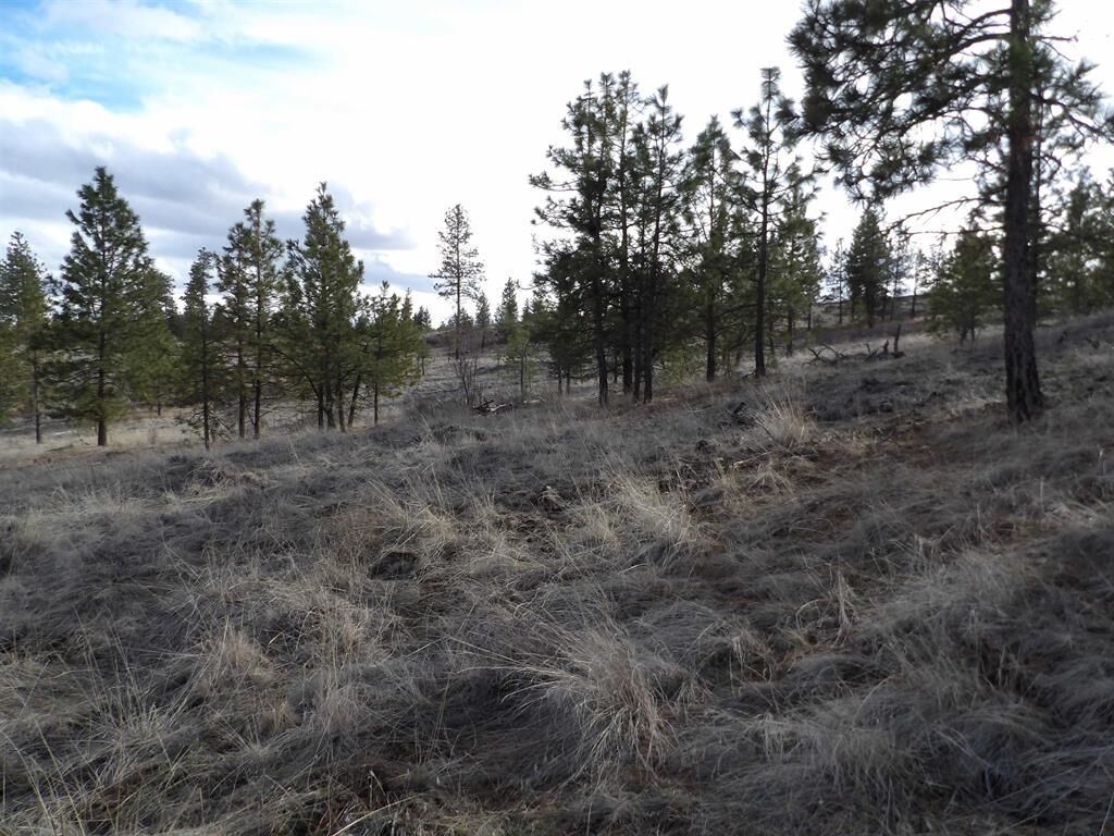 Property Photo:  Tract E Meadow Lane Rd  WA 99122 
