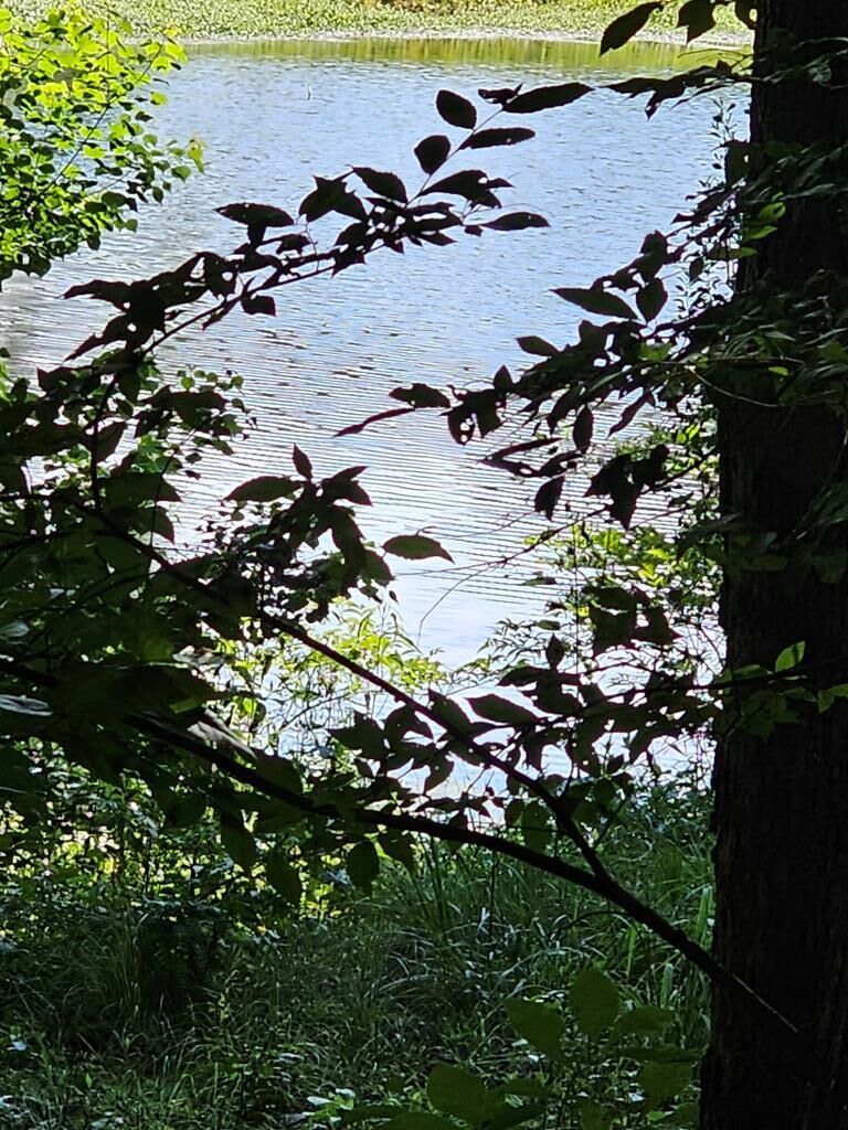 Property Photo:  Lot21f Lakeshore Drive  GA 31831 