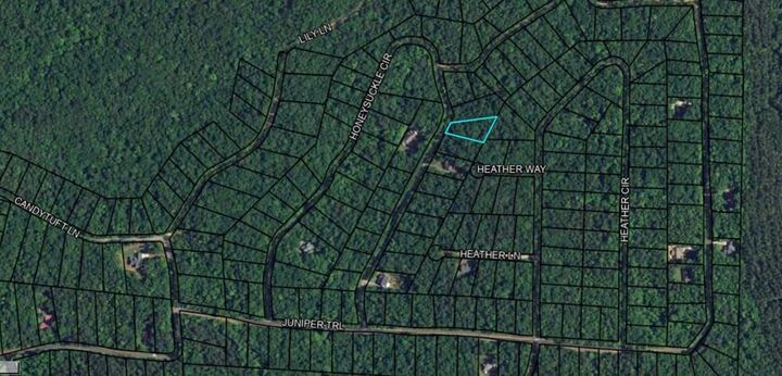 Property Photo:  Blk 29 Lot 31 Heather Circle  GA 31831 