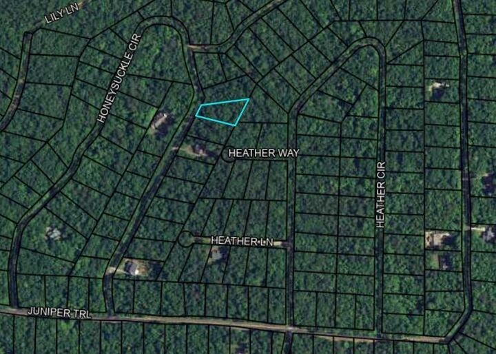 Property Photo:  Blk 33 Lot 06 Juniper Way  GA 31831 