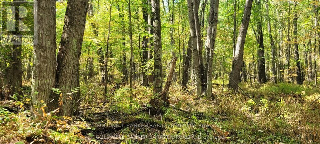 Property Photo:  Pt/Lot 21 Concession 3 Road  ON K7H 3C7 