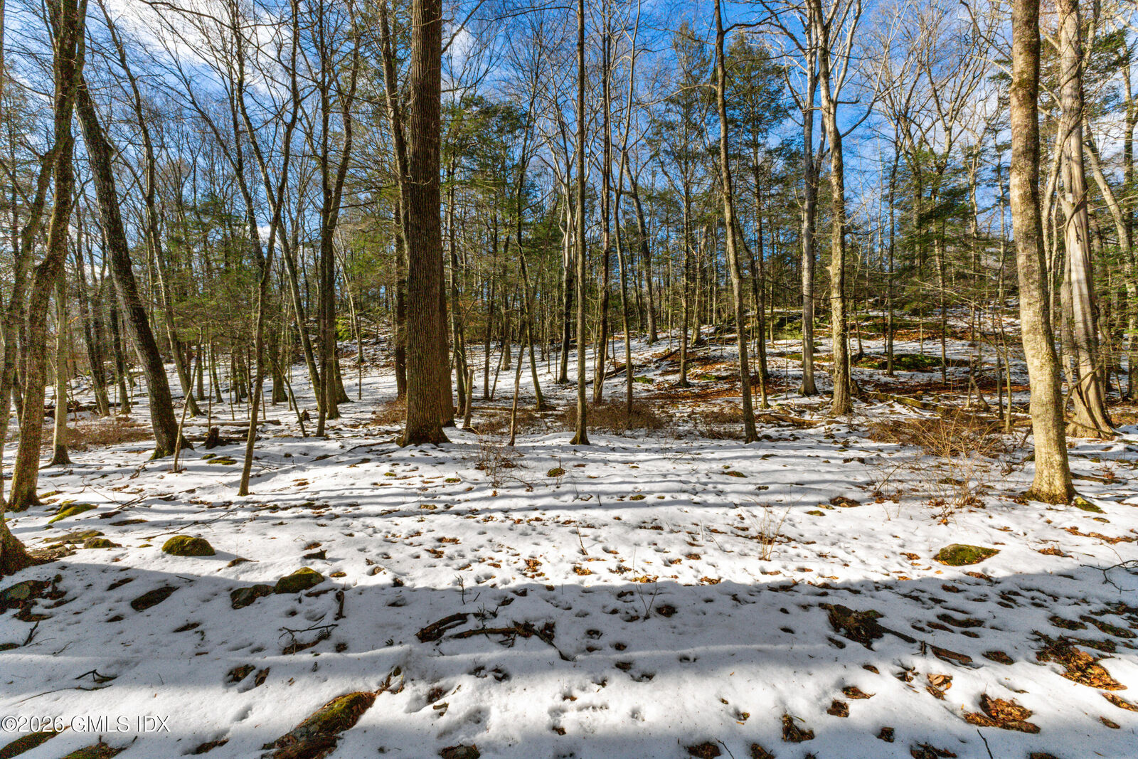 Property Photo: 0 Doverton Drive CT 06831