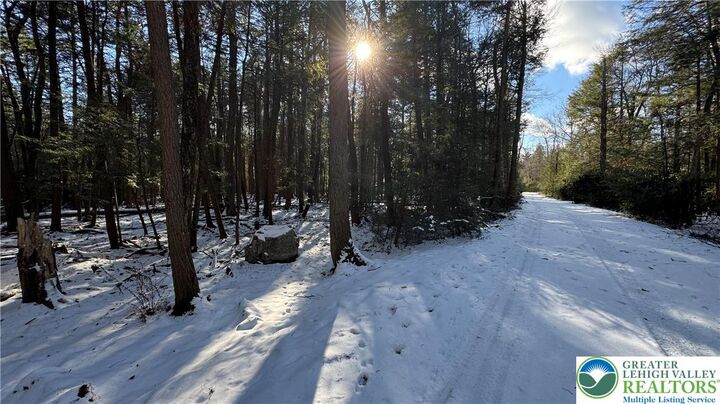 Property Photo:  Treetop Lane  PA 18210 