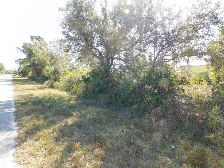 Property Photo:  14009 Paris Lane  FL 33981 