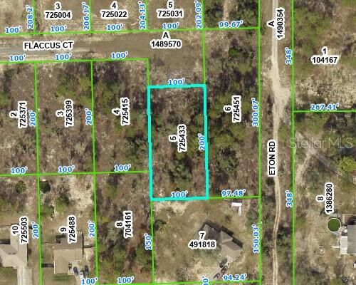 Property Photo:  13154 Flaccus Court  FL 34613 