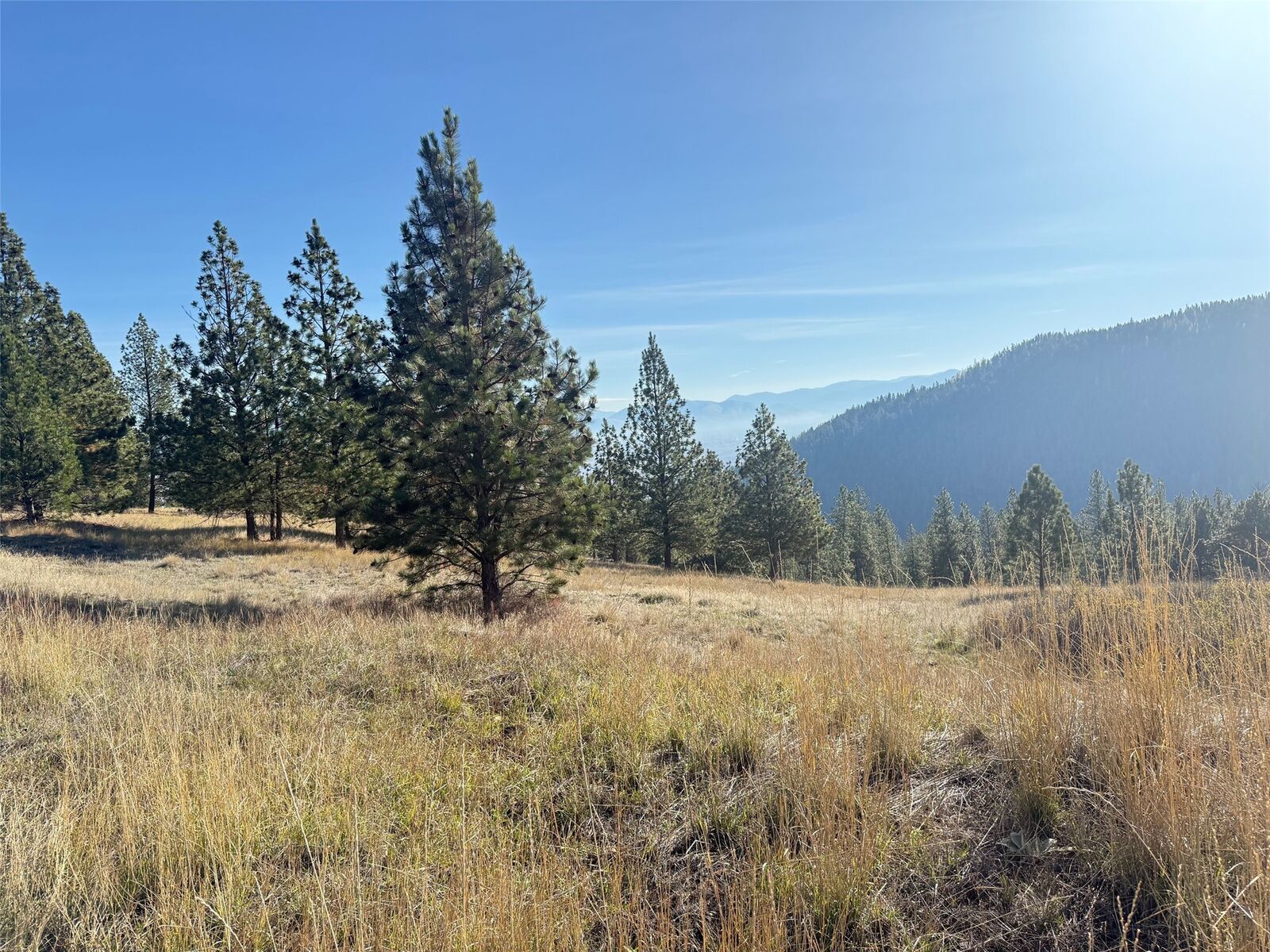 Property Photo: Parcel 1C Dry Gulch Road MT 59804