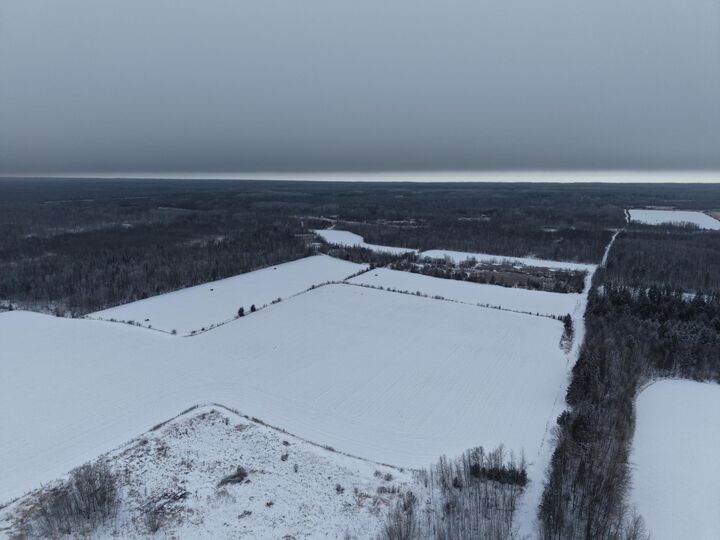 Property Photo:  Tbd Pit Road NE  MN 56650 