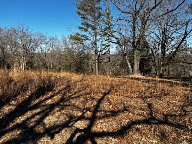 Property Photo:  19244 Eagle Point Road  AR 72732 