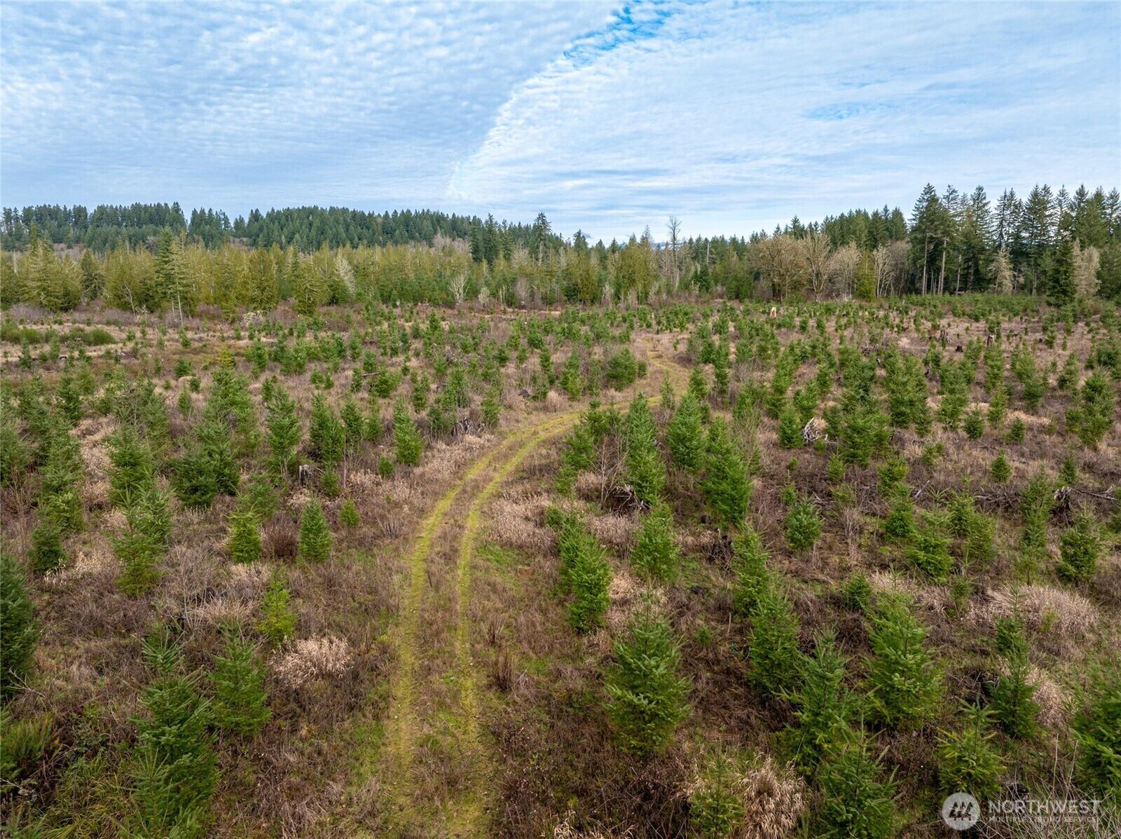 Property Photo:  14 Xx  Spencer Road  WA 98570 