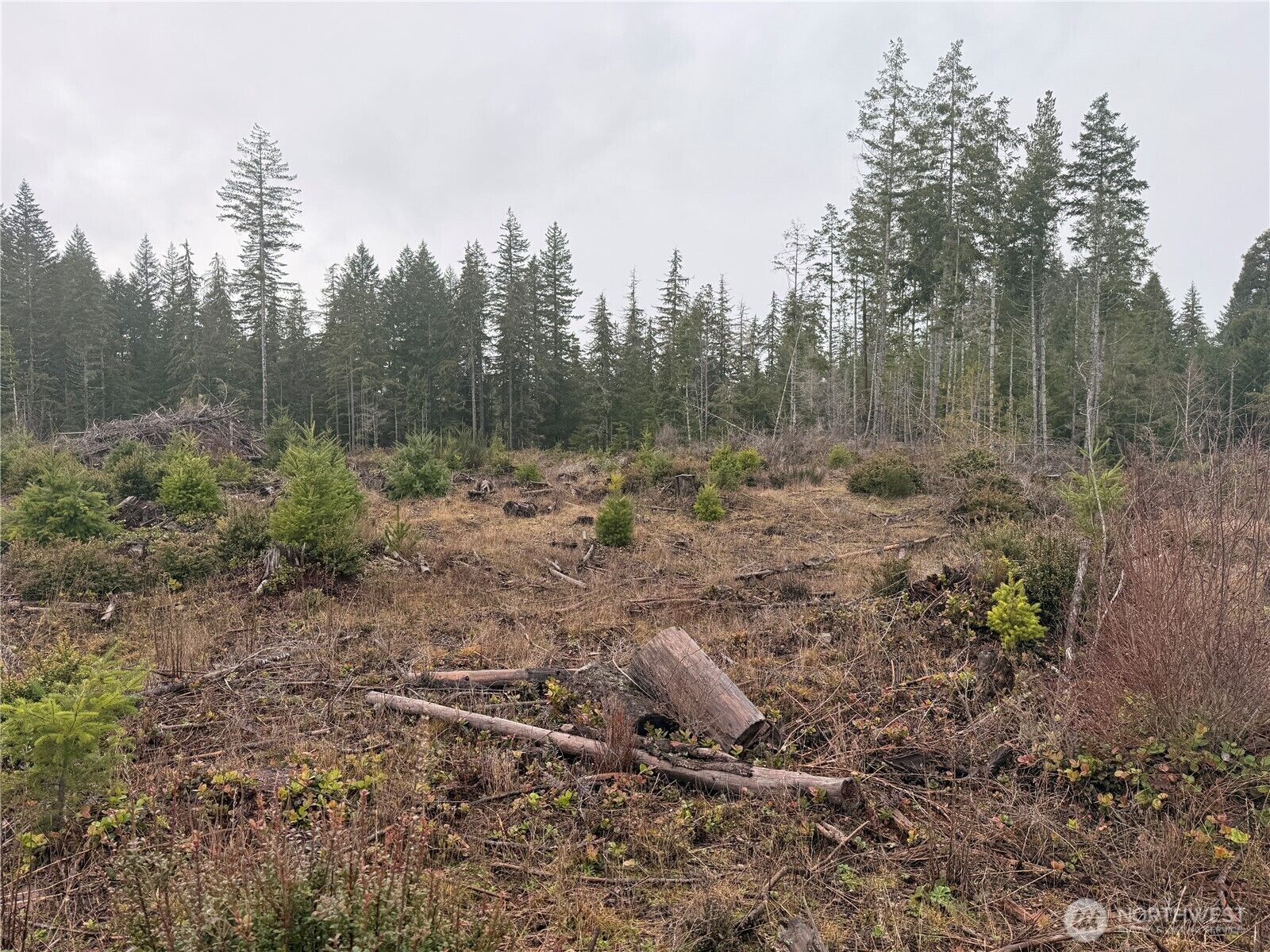 Property Photo:  10 Xx E Shetland Road  WA 98584 