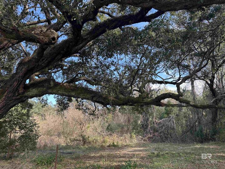 Property Photo:  26702 W County Road 54  AL 36526 