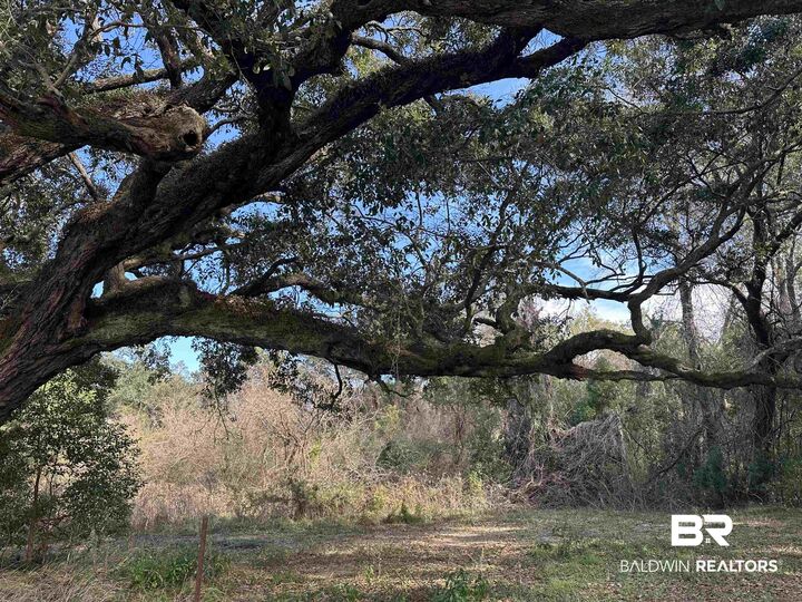 Property Photo: 26702 W County Road 54 AL 36526