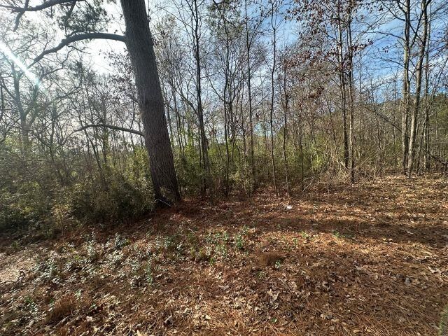 Property Photo: Tbd Cr 286 TX 75946