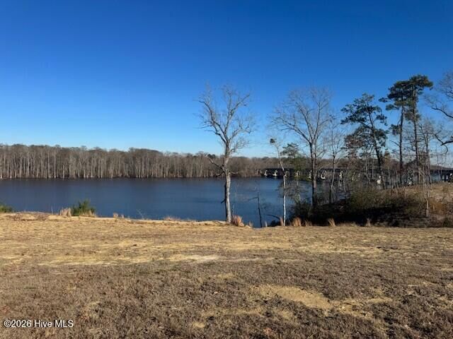 Property Photo:  122 16 River Bluff Drive  NC 27986 