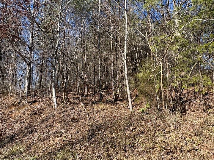 Property Photo:  0 Kimsey Mountain Hwy  TN 37391 