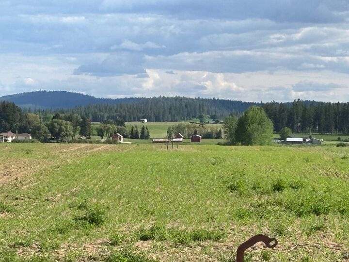 Property Photo:  46xx Bittrich-Antler Rd  WA 99006 