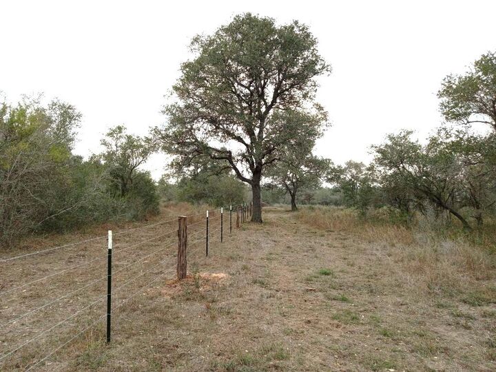 Property Photo:  251 Lefty Lane Lane  TX 77963 