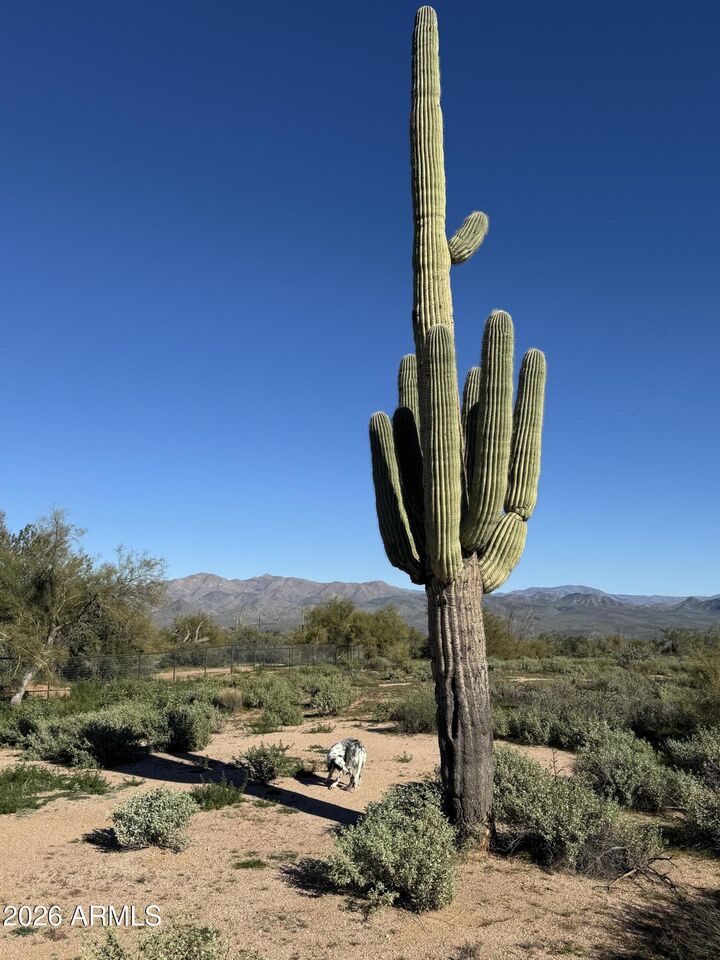 Property Photo:  0 N 172nd Street 0  AZ 85263 