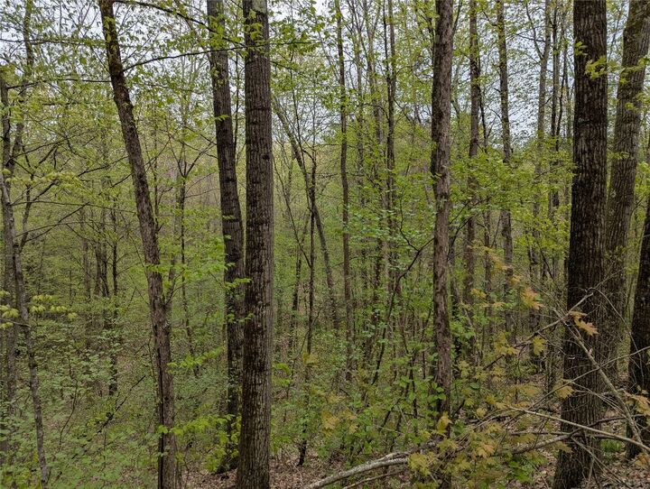 Property Photo:  00 Union Hill Road  NY 13743 