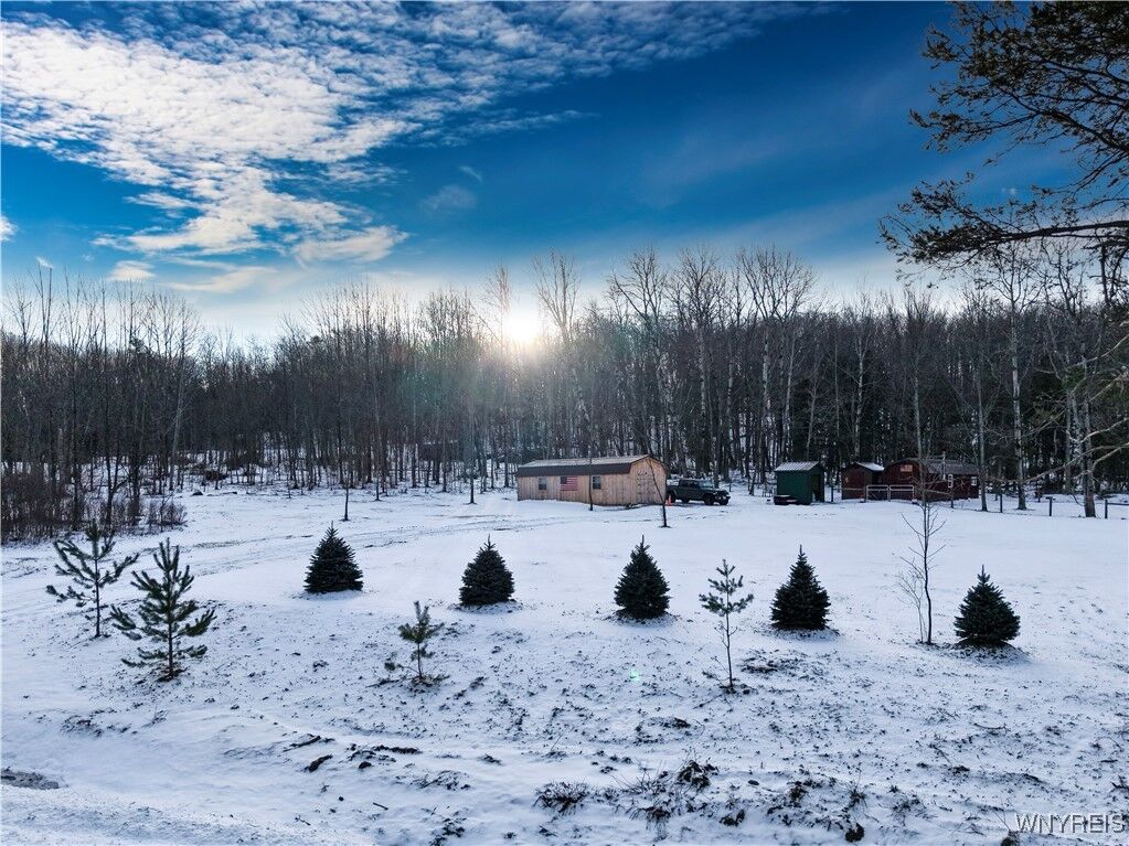 Property Photo:  9306 Snake Run Road  NY 14729 