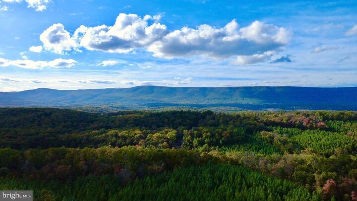 Property Photo: 152.44 Acres Lot 2 Laurel Grove Road VA 22602