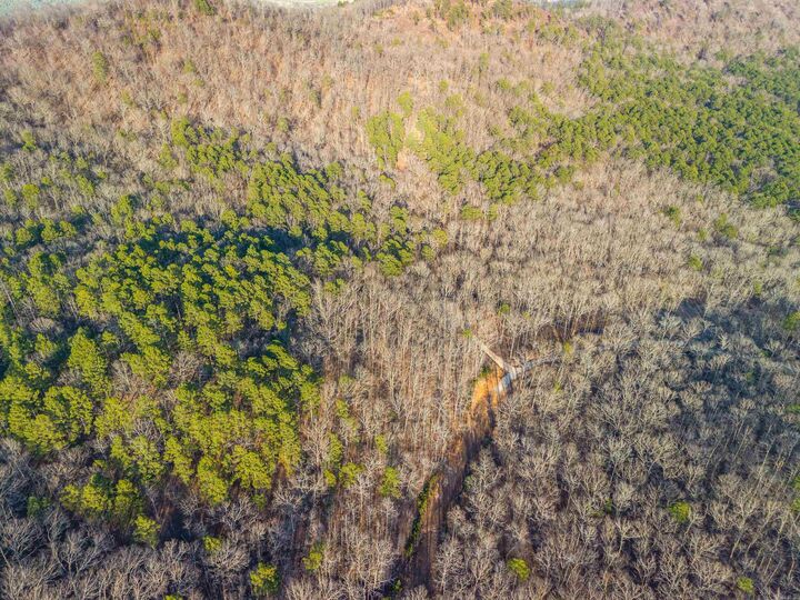 Property Photo:  116 Blackcat Trail  AR 71968 