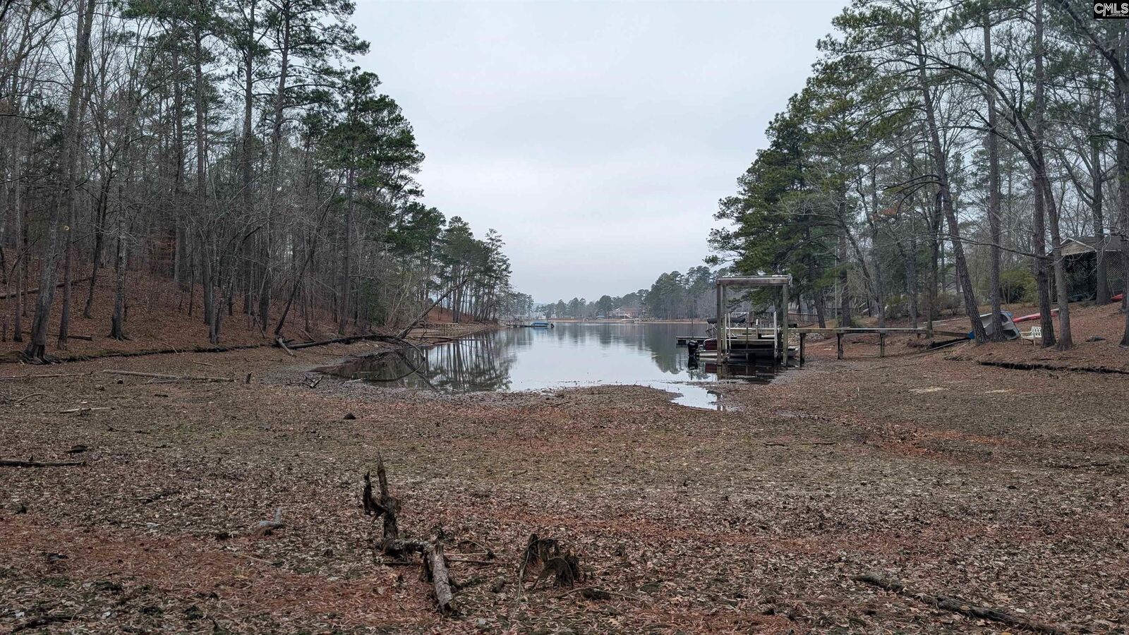 Property Photo:  Lots B &Amp C Miller  SC 29020-0000 