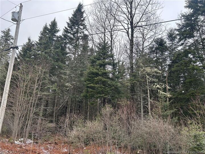 Lot 26-4 Backland — photo 1