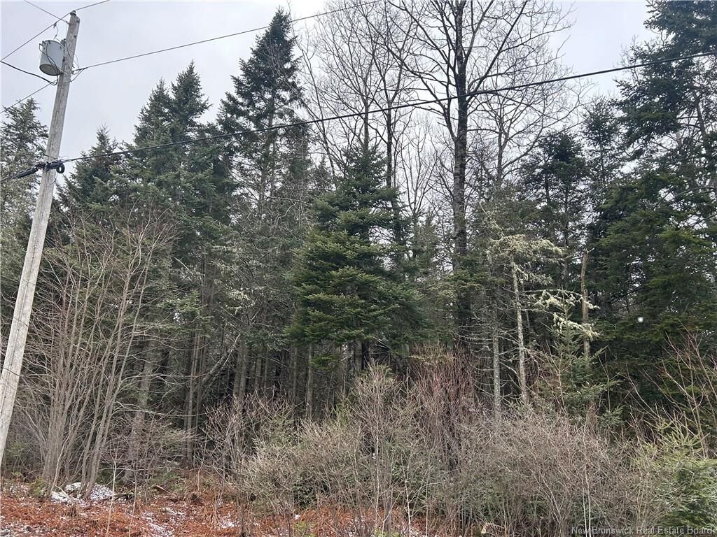 Property Photo:  Lot 26-4 Backland  NB E5N 1E2 