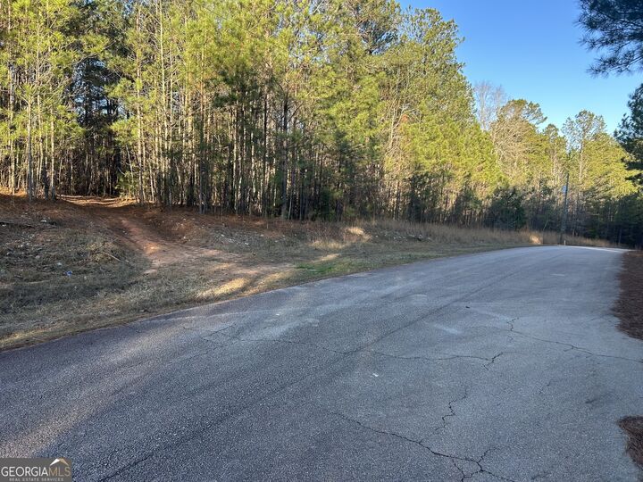 Property Photo:  0 Erskine Drive Lot 16  GA 31064 