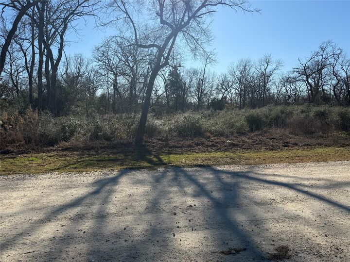 Property Photo:  Lot 29 Cr 389  TX 75846 