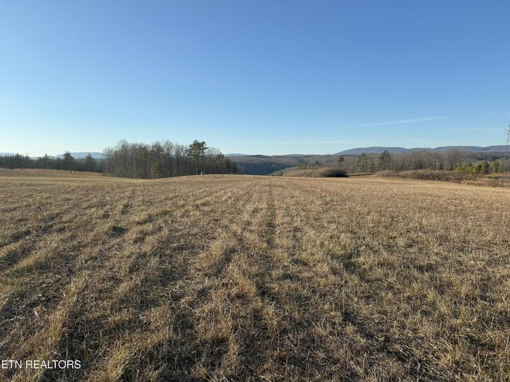 Property Photo:  Possom Trot Rd. - Tract 3  TN 37337 
