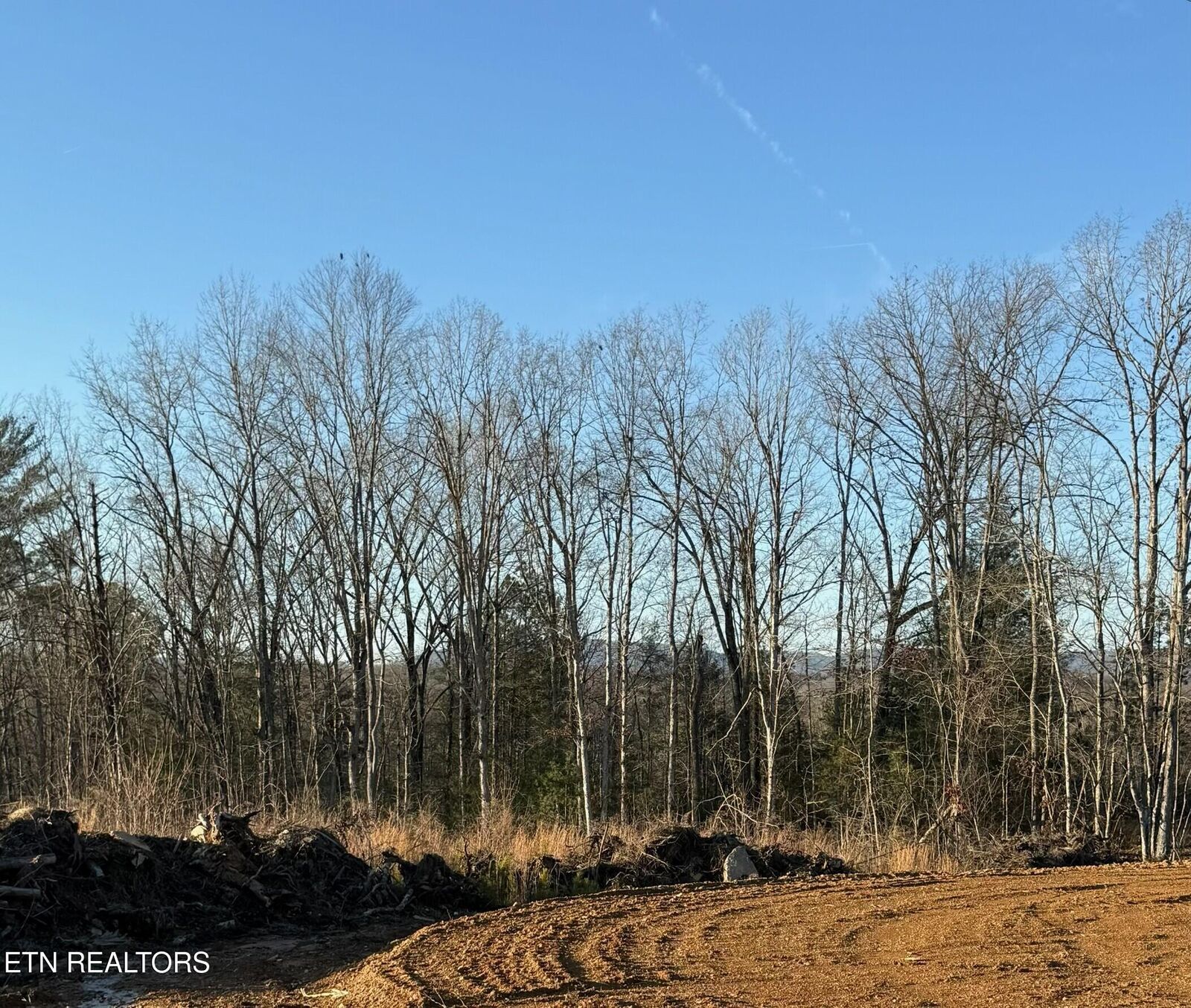 Property Photo:  Possum Trot Rd. - Tract 14  TN 37337 