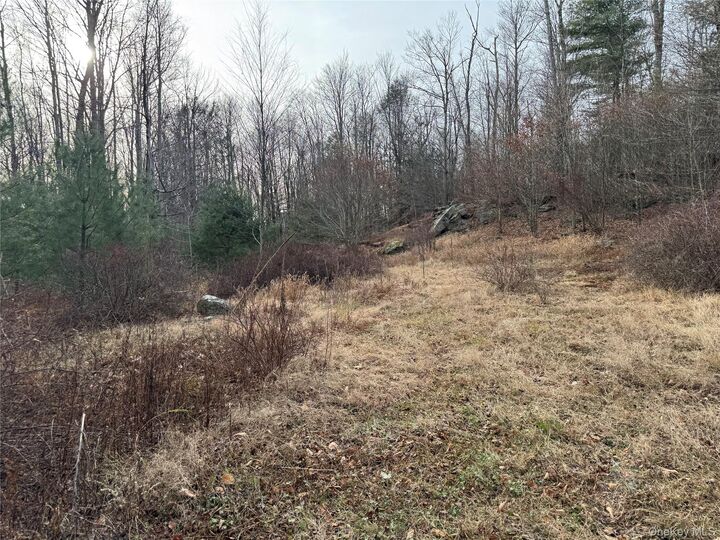 Property Photo:  Hilltop Road  NY 12701 