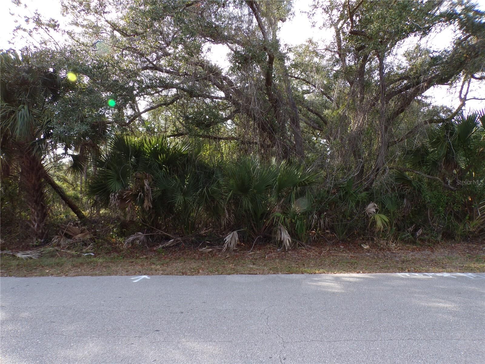 Property Photo:  Maukbach Terrace  FL 34286 