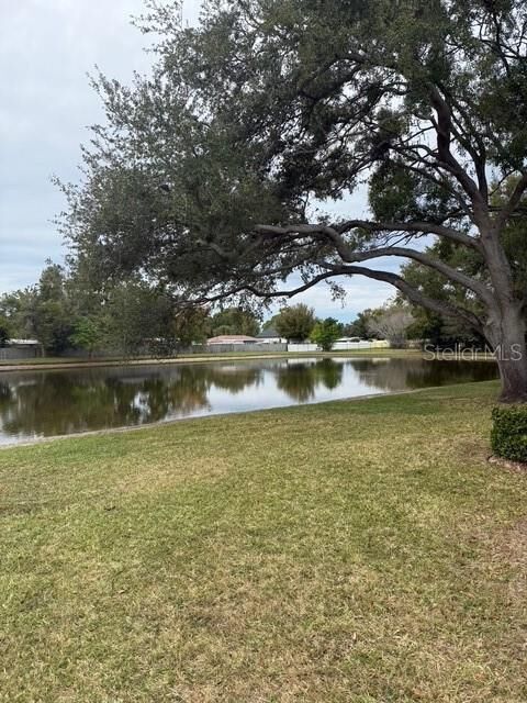 Property Photo:  3823 N Oak Drive K11  FL 33611 