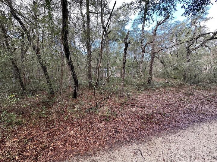 Property Photo:  9280 SE 194th Court  FL 32179 