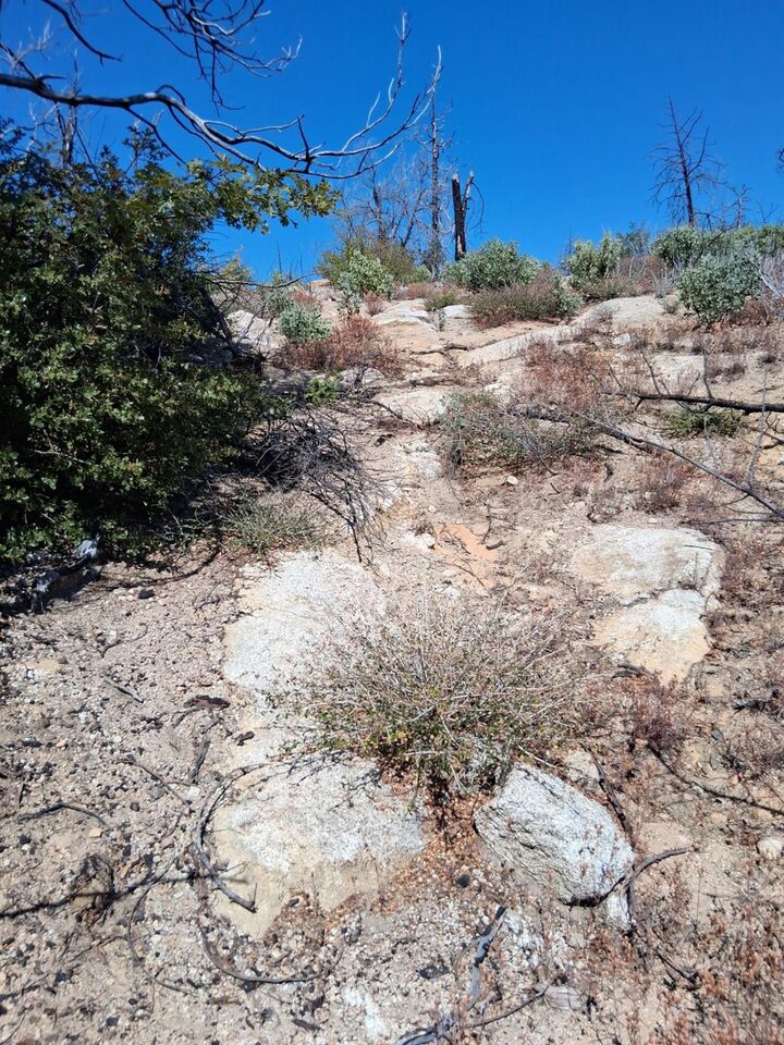 Property Photo:  0 Bald Rock Road  CA 95916 