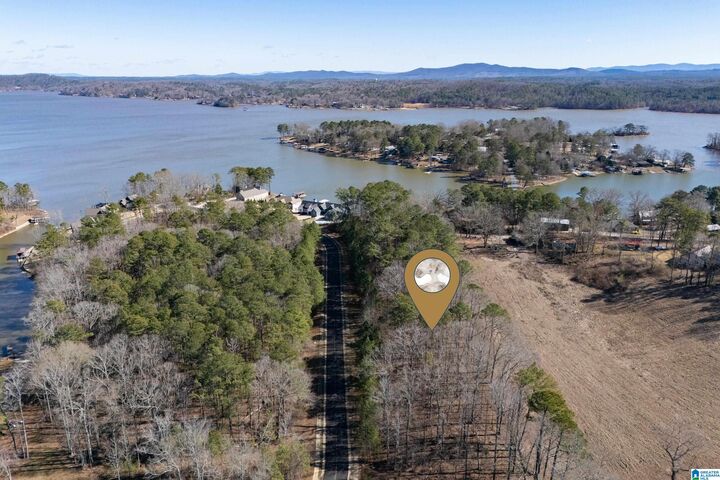 Property Photo:  110 Coves Drive  AL 35178 