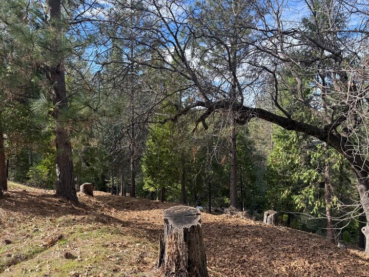 Property Photo:  12053 Breckenridge  CA 95321 